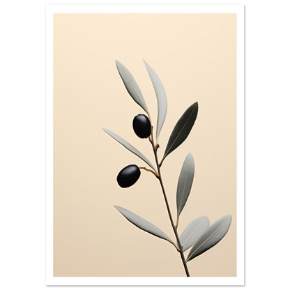 Olive branch Premium Poster