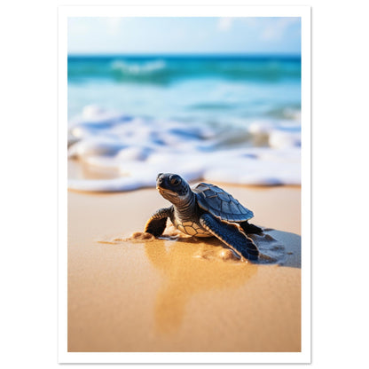 Sea turtle Premium Poster