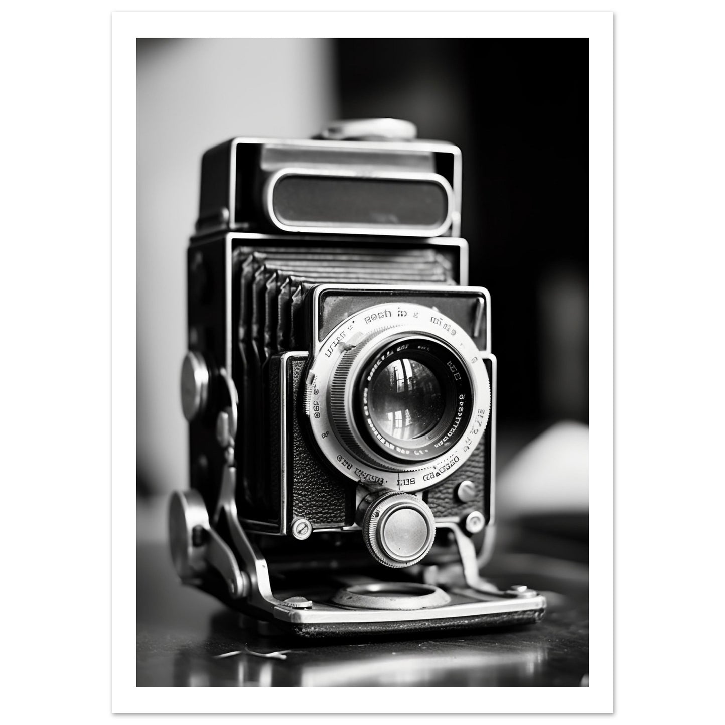 Vintage Camera Premium Poster