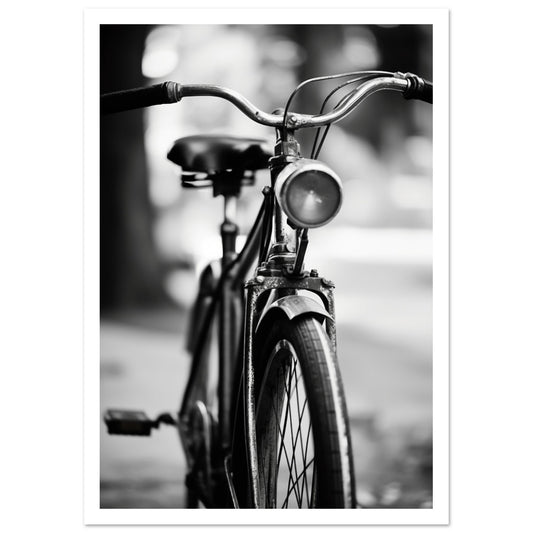 Bicycle Premium Poster