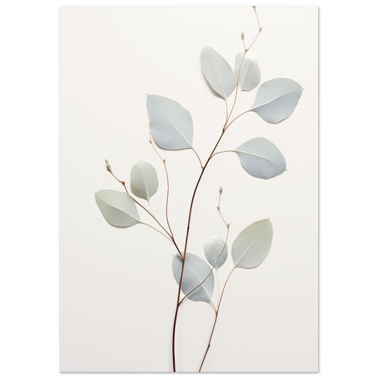 Eucalyptus No. 3 Premium Poster