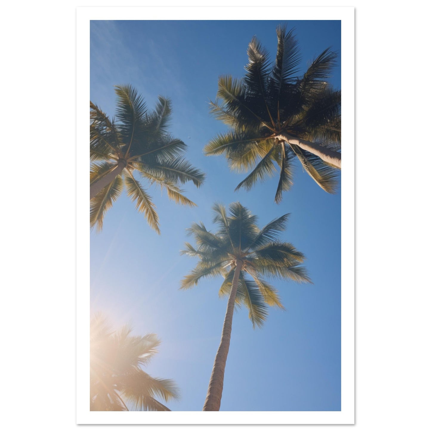 Palm tree Premium Poster