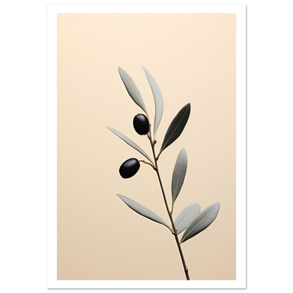 Olive branch Premium Poster