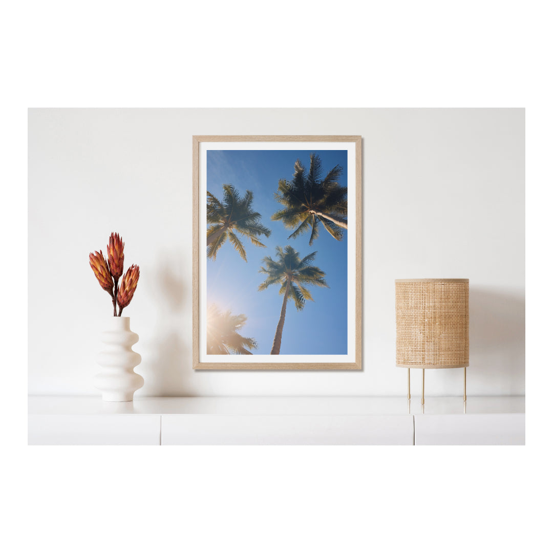 Palm tree Premium Poster