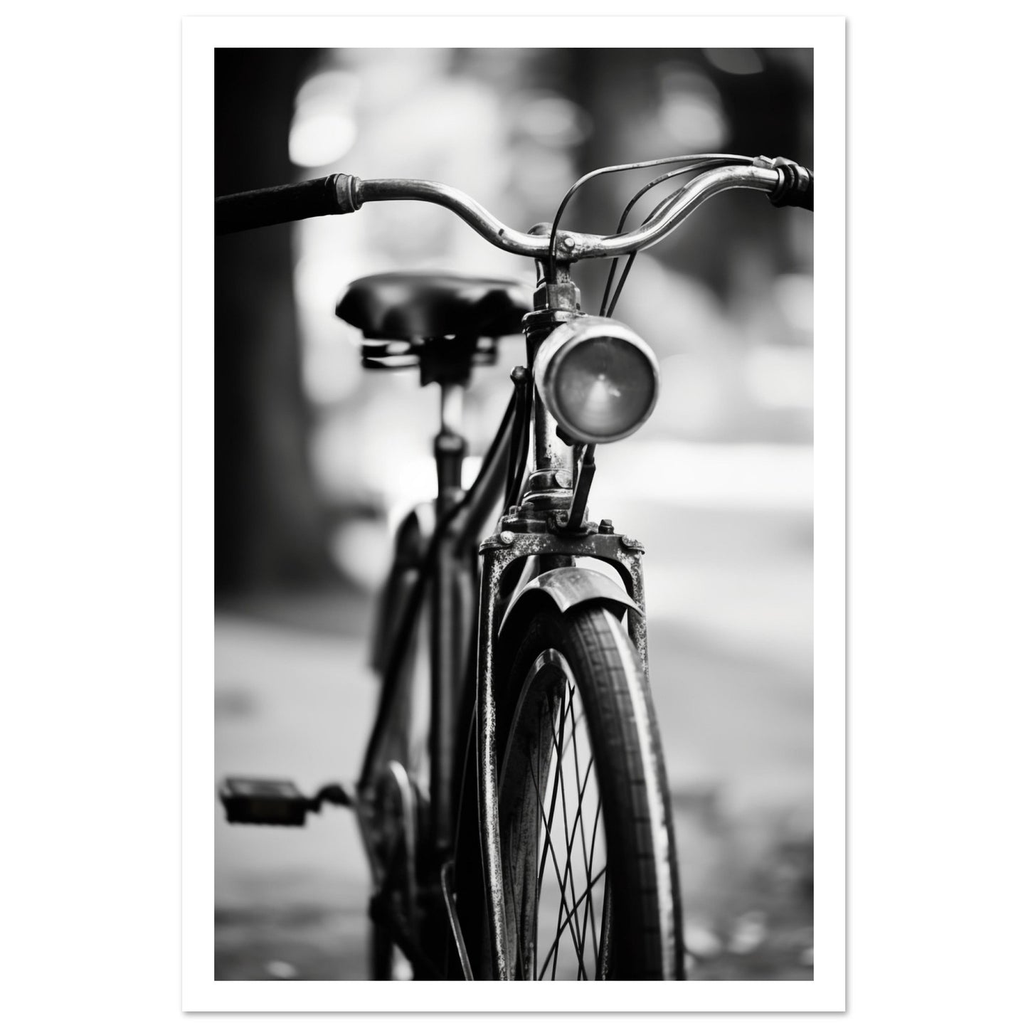 Bicycle Premium Poster