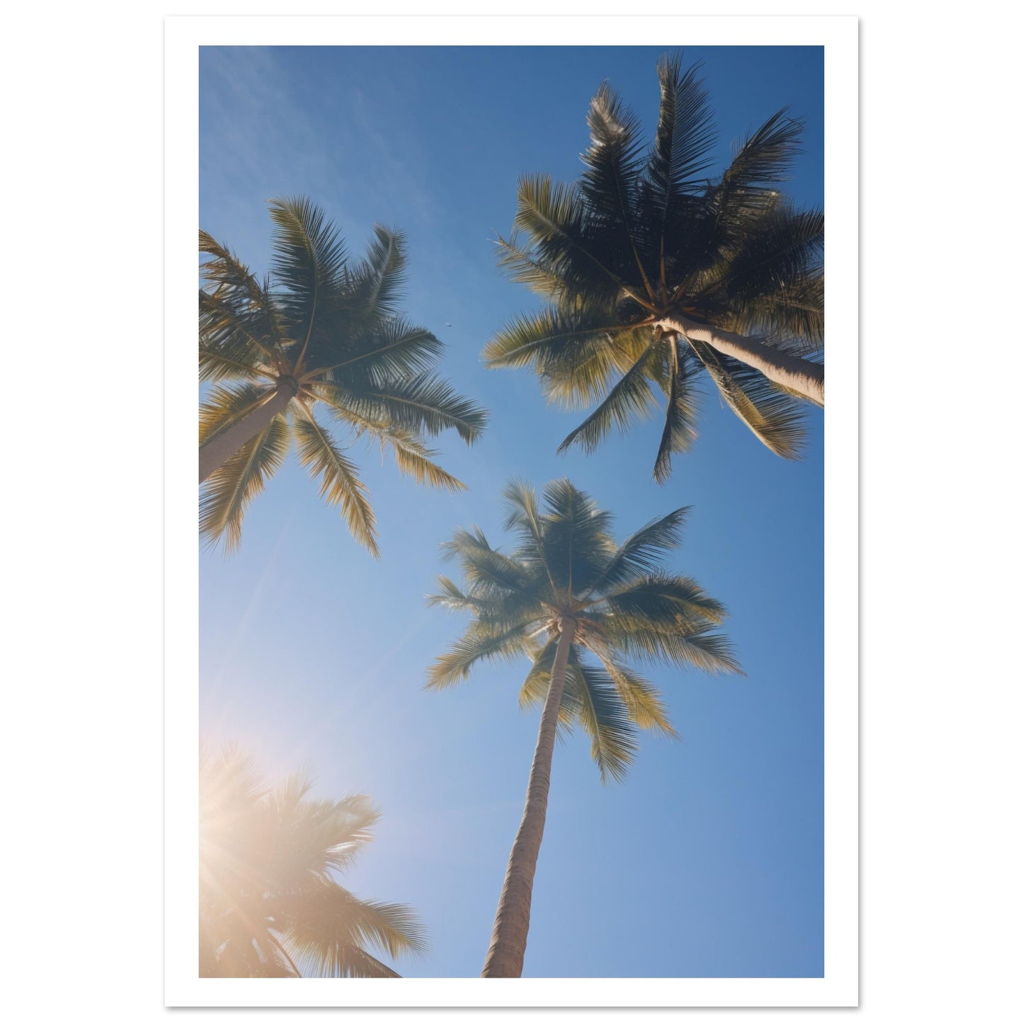 Palm tree Premium Poster