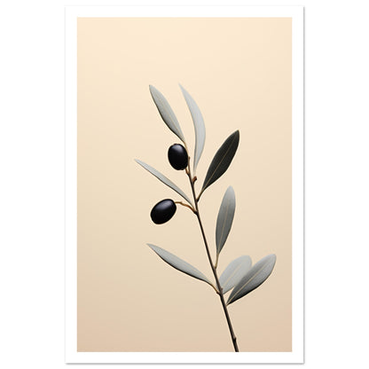 Olive branch Premium Poster