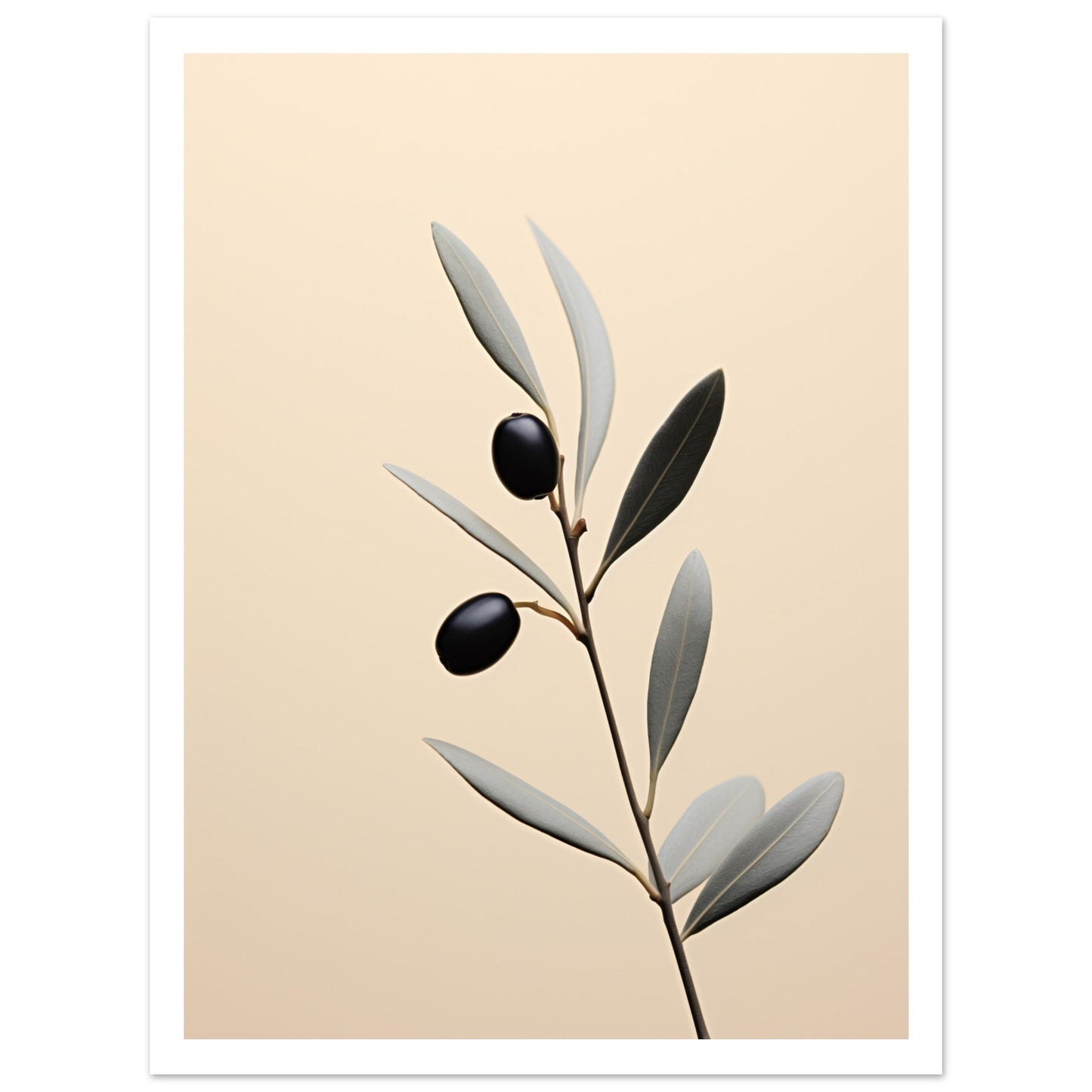 Olive branch Premium Poster