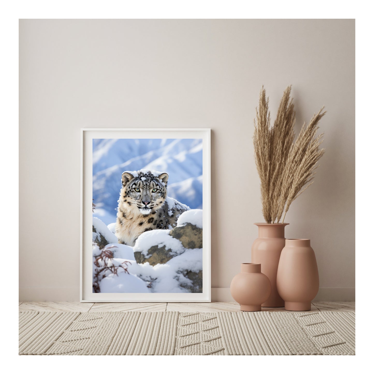 Snow leopard Premium Poster